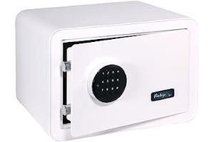 41FFuMxUW3L._AC_UL320_