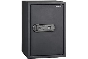 Caja Biometrica 61DZU910DYL._AC_UL320_