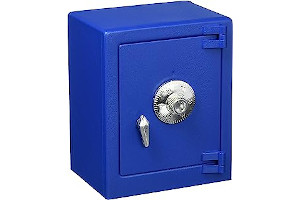 915nq0jxCaL._AC_UL320_